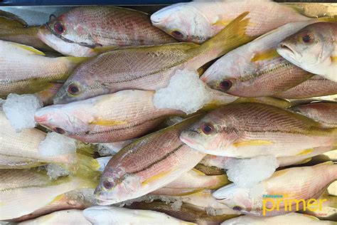 dalagang bukid fish in english|common fish in the philippines.